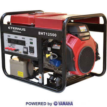 Standby 9.1kw Elektrischer Generator (BVT3135)